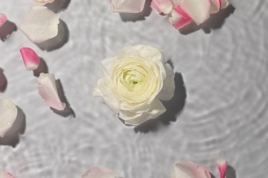 Photo of Beautiful rose and petals in water on white background, top view