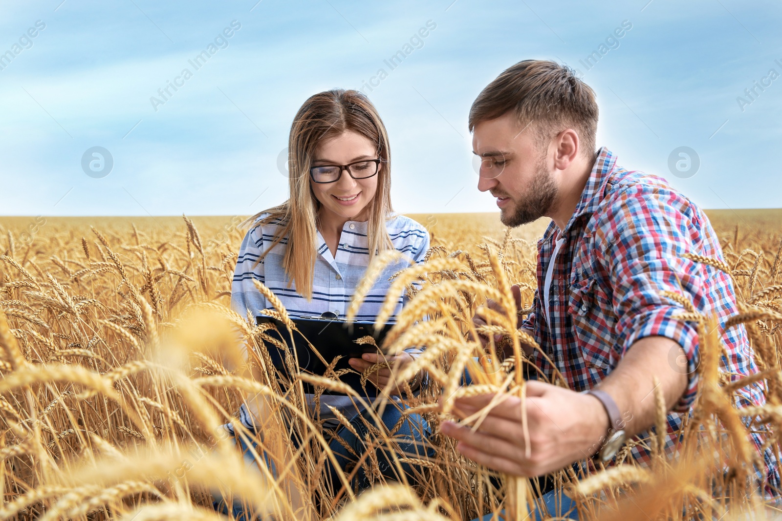 Photo of Young agronomists in grain field. Cereal farming