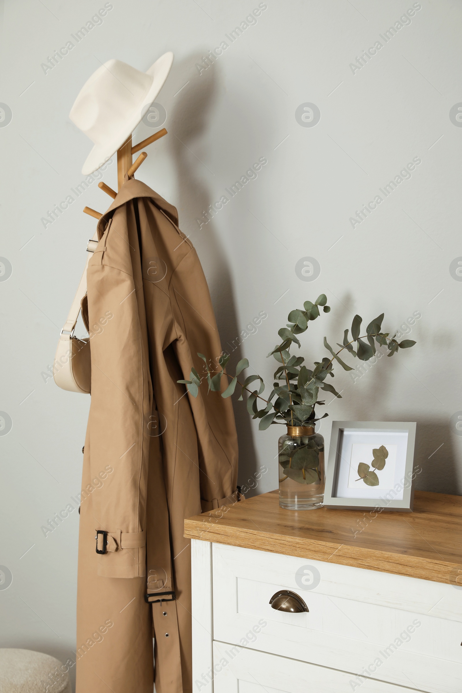 Photo of Vase with beautiful eucalyptus branches and picture on chest of drawers in hall