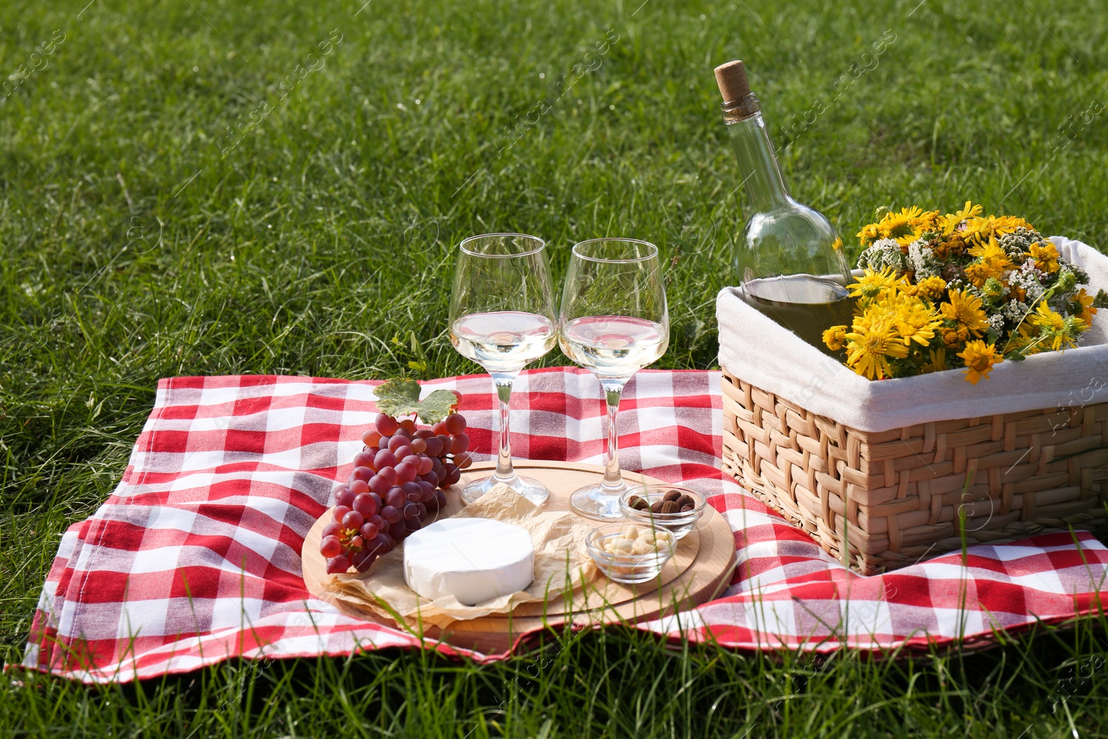 Photo of Glasses of white wine and snacks for picnic served on blanket outdoors