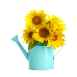 Photo of Watering can with beautiful yellow sunflowers on white background