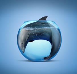 Image of Dolphin in glass aquarium on light blue background. Anti-Captivity Campaign