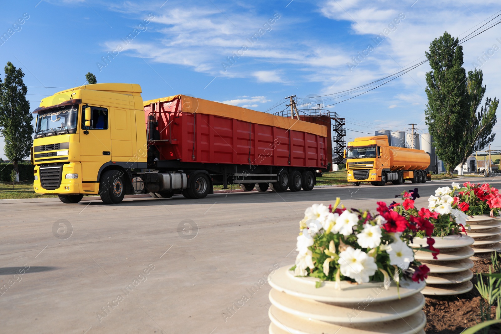 Photo of Modern bright trucks parked on country road