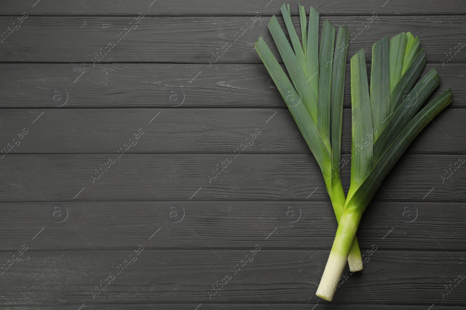 Photo of Fresh raw leeks on grey wooden table, flat lay. Space for text