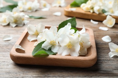 Plate with beautiful jasmine flowers on wooden table, closeup