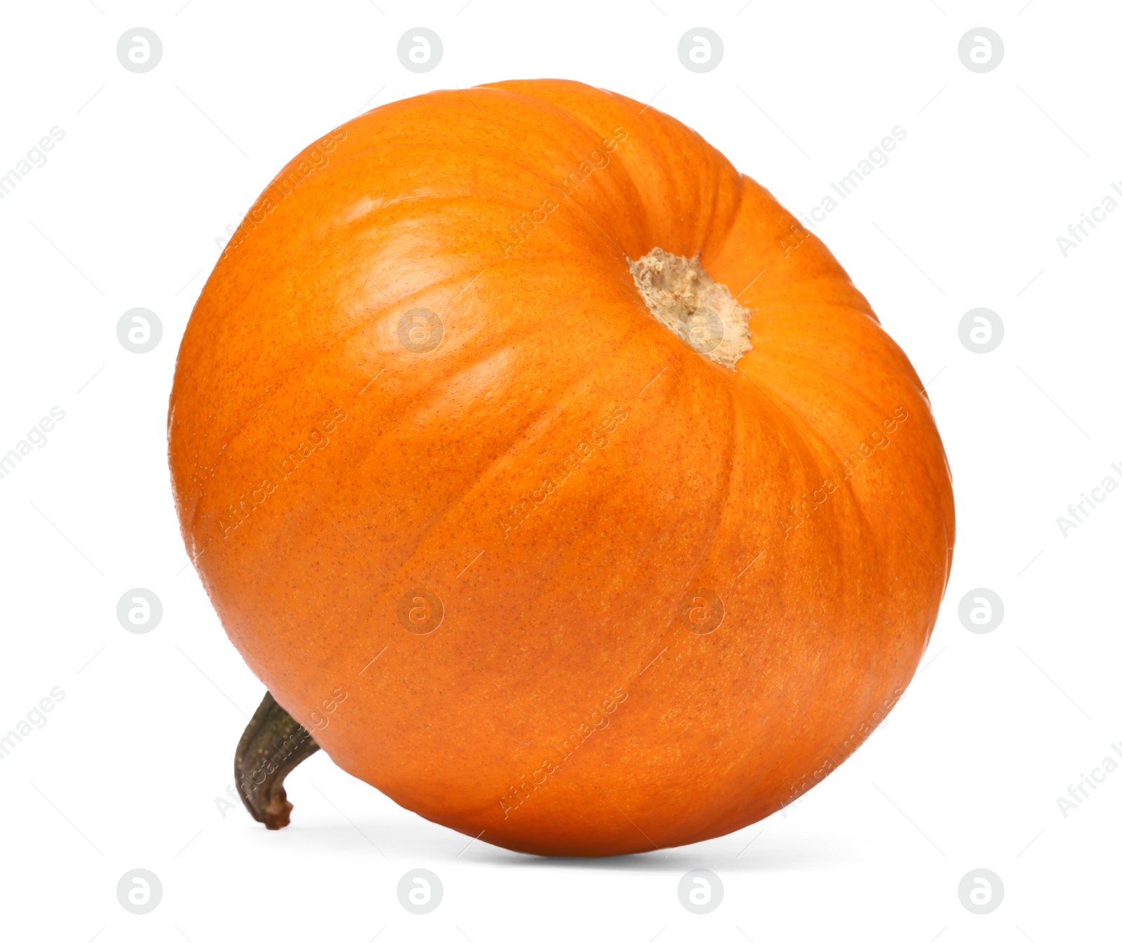 Photo of One fresh orange pumpkin isolated on white