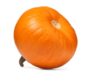 One fresh orange pumpkin isolated on white