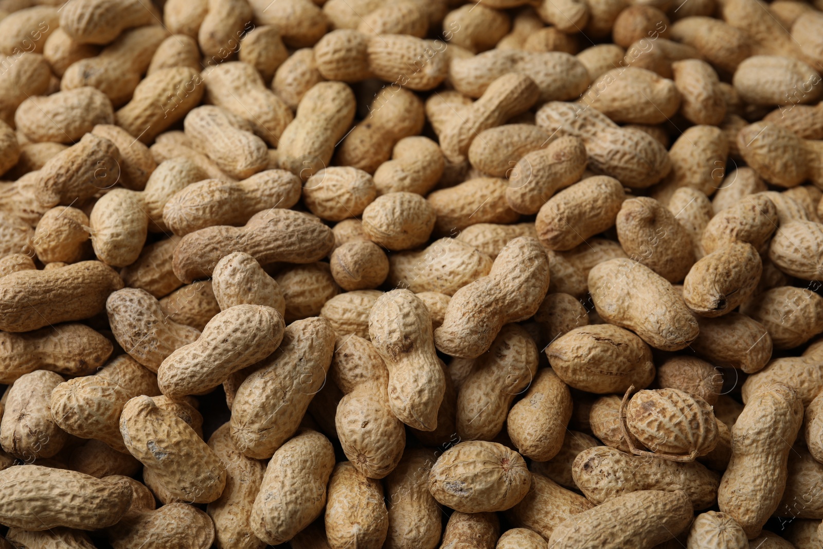 Photo of Many fresh unpeeled peanuts as background, closeup