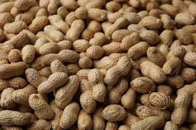 Many fresh unpeeled peanuts as background, closeup