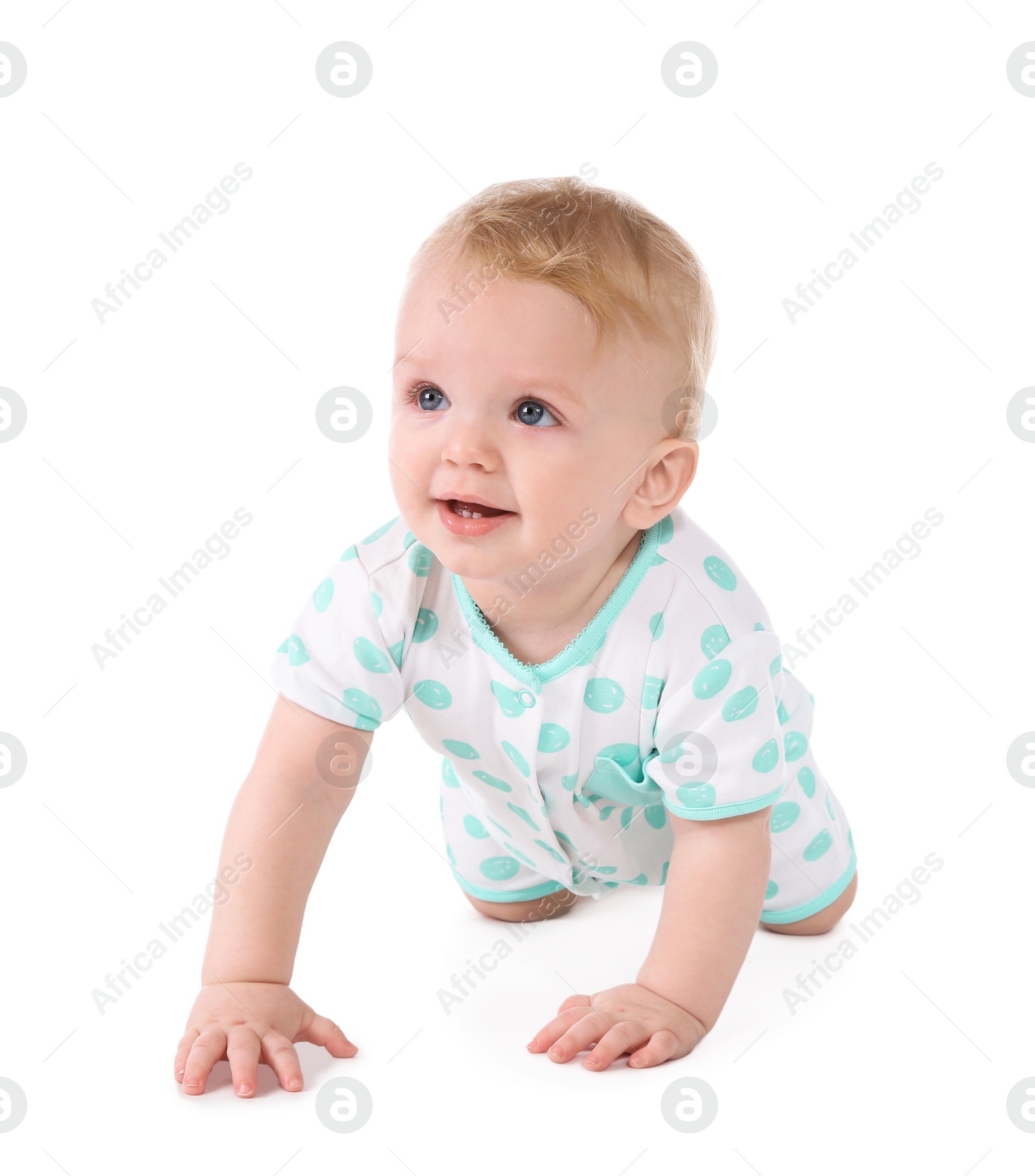 Photo of Cute little baby crawling on white background