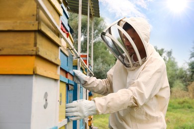 Photo of Beekeeper in uniform near hives at apiary. Harvesting honey