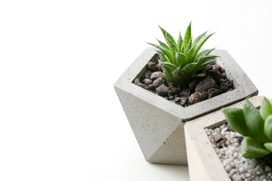 Photo of Succulent plants in concrete pots on white table, closeup. Space for text