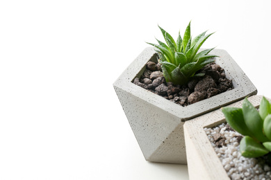 Succulent plants in concrete pots on white table, closeup. Space for text