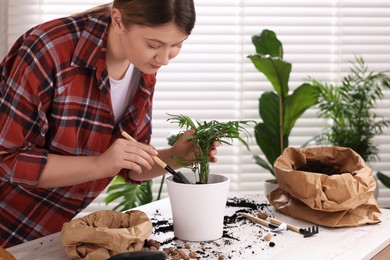 Photo of Woman transplanting houseplant at white table indoors