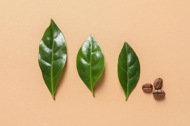 Photo of Fresh green coffee leaves and beans on light orange background, flat lay