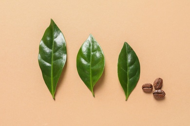 Fresh green coffee leaves and beans on light orange background, flat lay