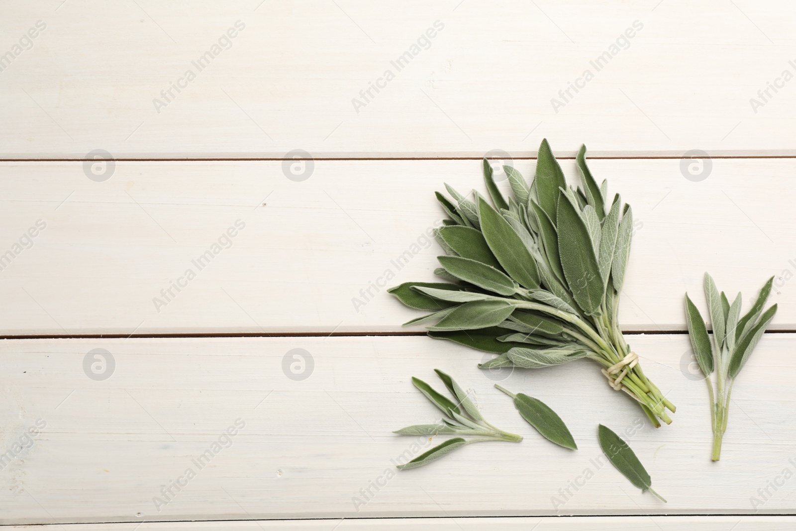 Photo of Bunch of fresh green sage on white wooden table, flat lay. Space for text
