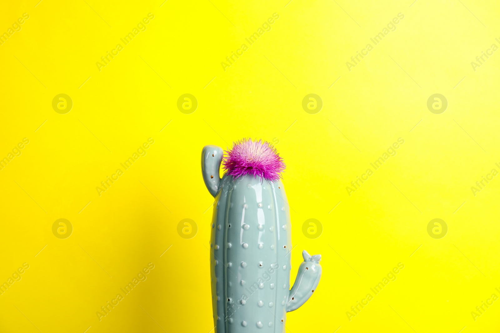 Photo of Trendy cactus shaped ceramic vase with flower on color background