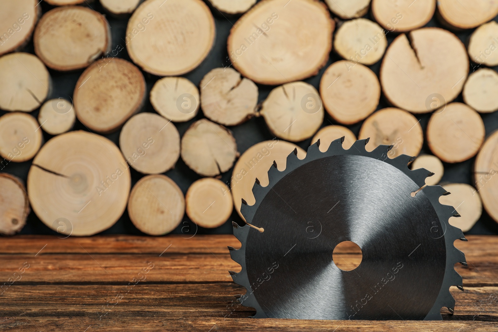 Photo of Saw disk on wooden background, space for text. Carpenter's tool