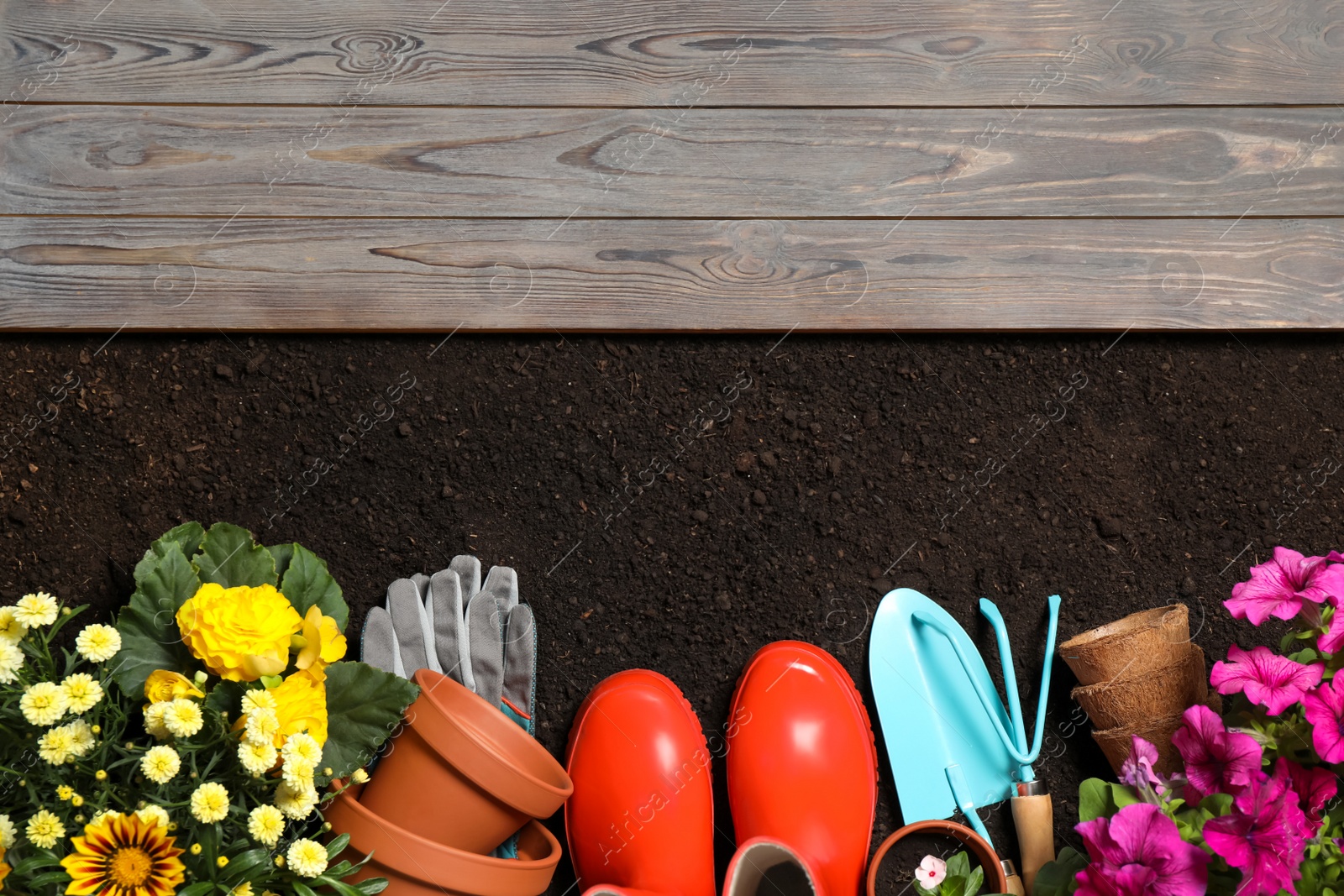 Photo of Flat lay composition with gardening equipment and flowers on soil, space for text