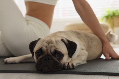 Photo of Woman with dog practicing yoga at home, closeup