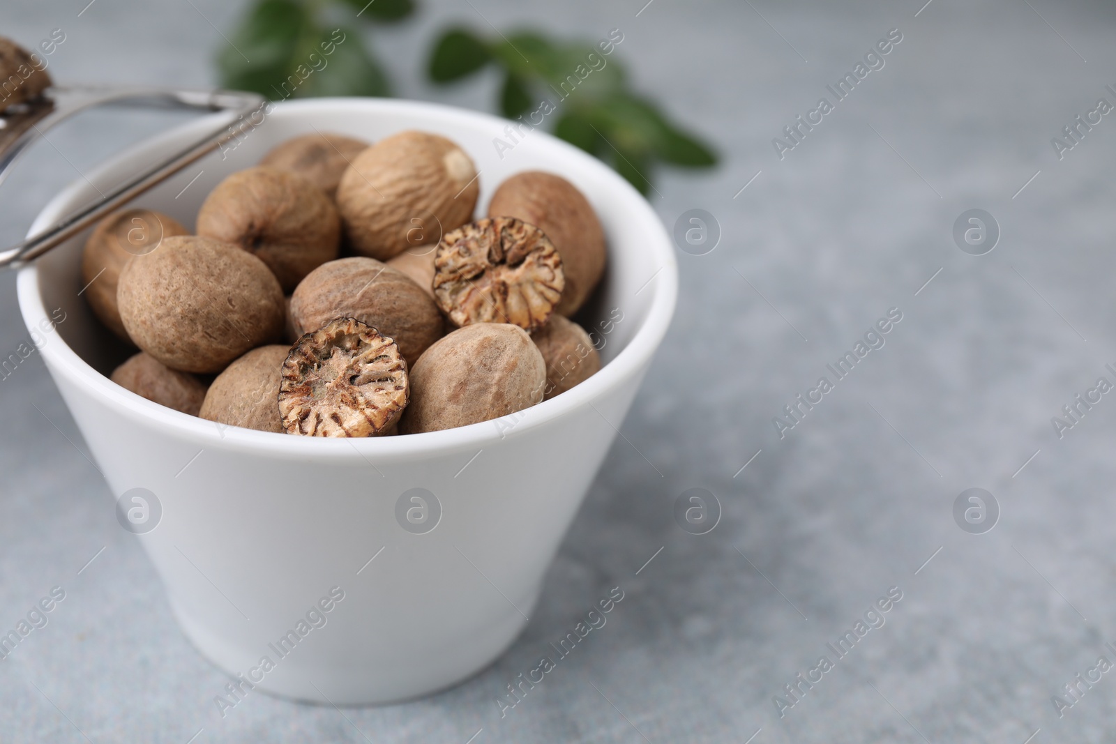 Photo of Nutmegs in bowl on light grey table, closeup. Space for text