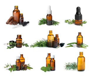 Image of Set with bottles of essential oils and fresh herbs on white background