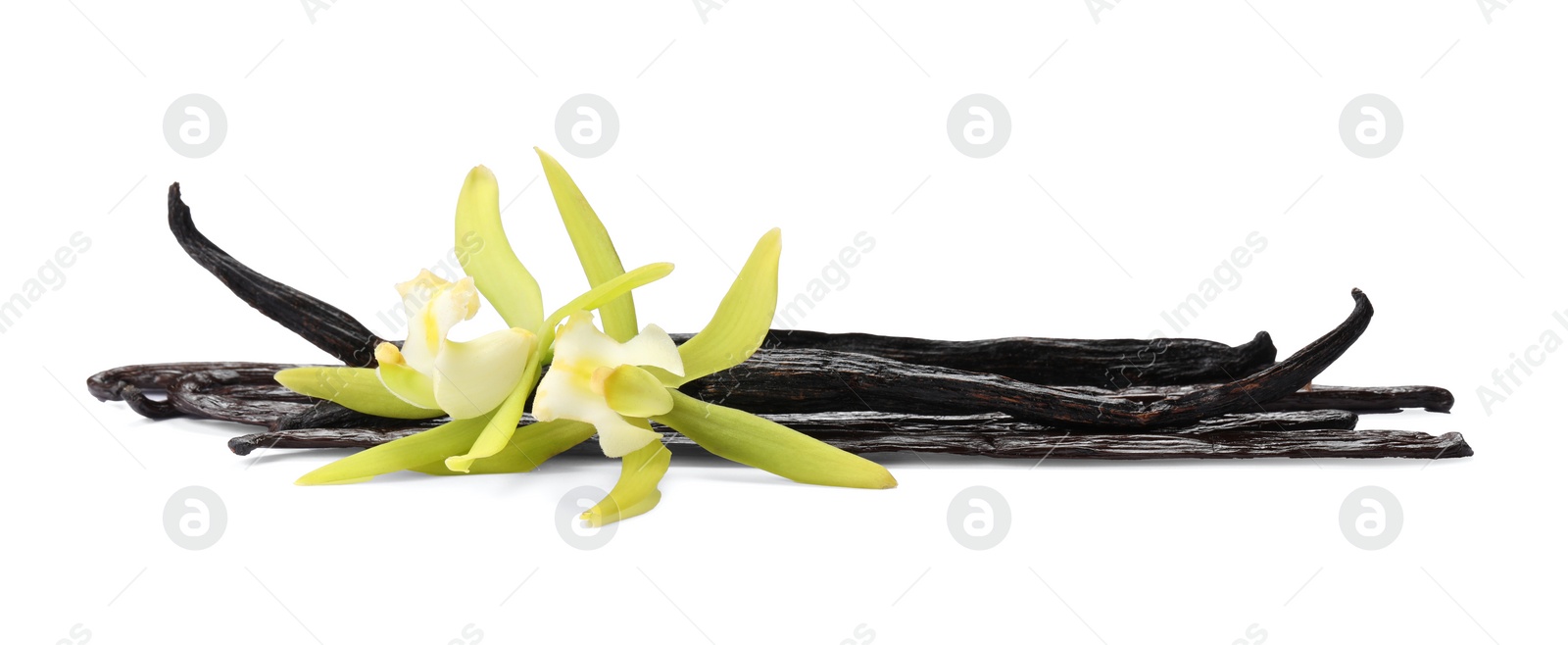 Photo of Vanilla pods and beautiful flowers isolated on white