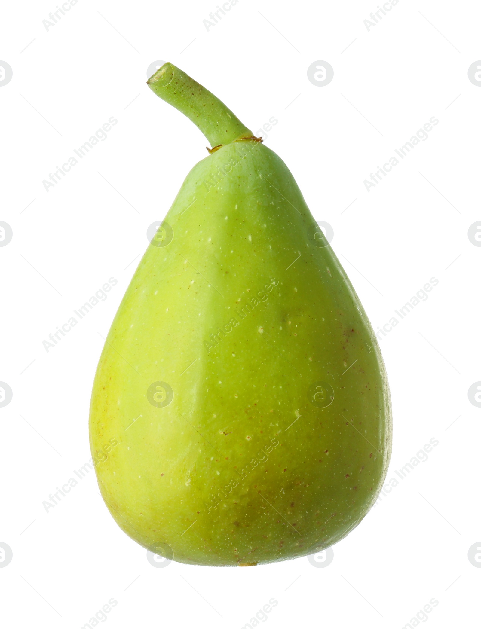 Photo of One fresh green fig isolated on white