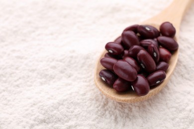 Photo of Spoon with brown seeds on kidney bean flour, closeup. Space for text