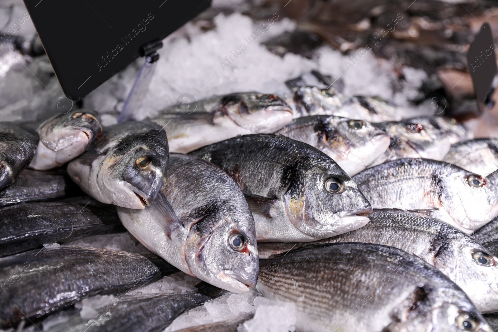 Photo of Fresh raw fish with ice in supermarket, closeup