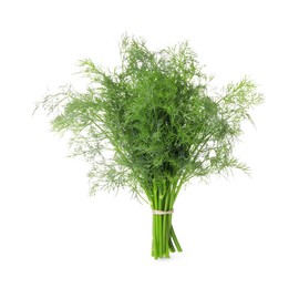 Photo of Bunch of fresh dill isolated on white