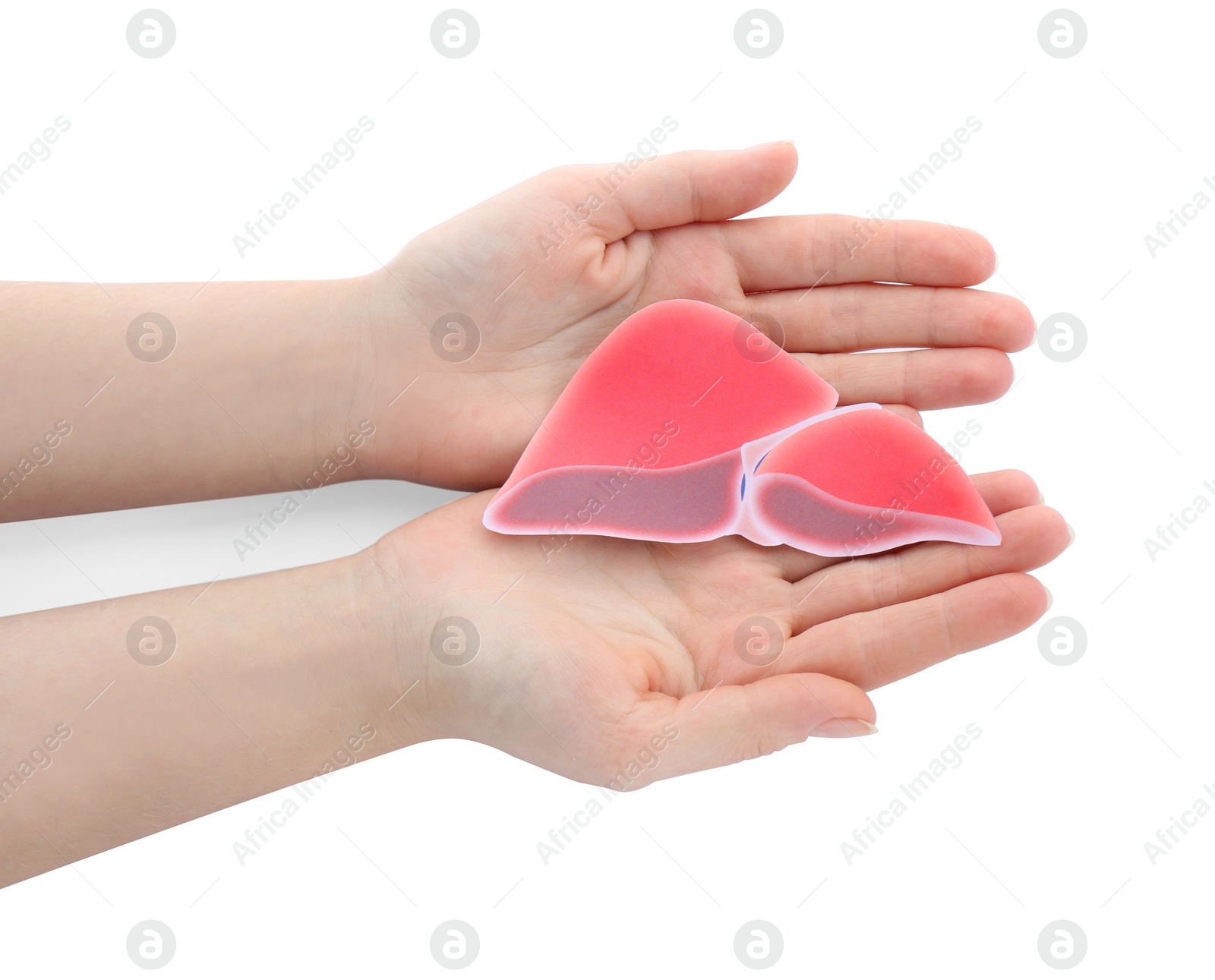 Photo of Woman holding paper liver on white background, closeup and top view. Hepatitis treatment