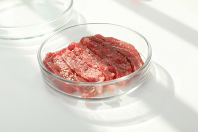 Photo of Petri dish with pieces of raw cultured meat on white table