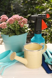 Photo of Watering can, gardening tools and plant outdoors on sunny day