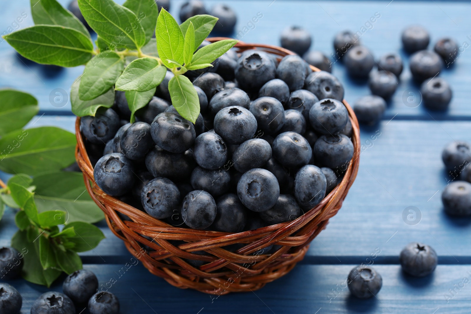 Photo of Tasty fresh blueberries and green leaves on blue wooden table, closeup