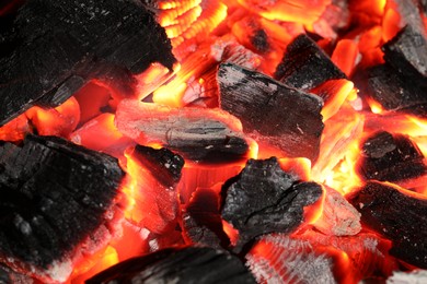 Pieces of hot smoldering coal as background, closeup