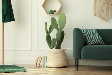 Photo of Stylish living room interior with beautiful potted cactus and modern furniture