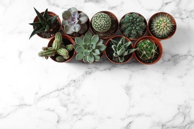 Flat lay composition with different succulent plants in pots on marble table, space for text. Home decor