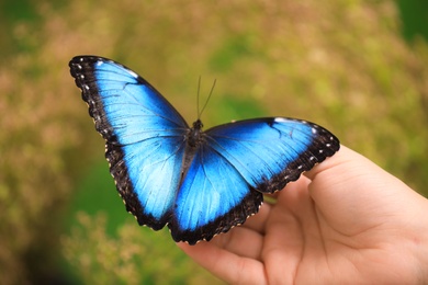 Photo of Woman holding beautiful Blue Morpho butterfly outdoors, closeup
