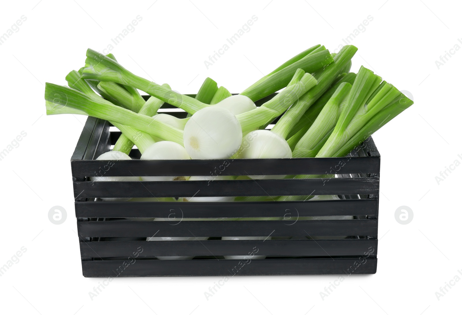 Photo of Black crate with green spring onions isolated on white