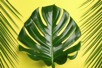 Flat lay composition with tropical leaves on color background