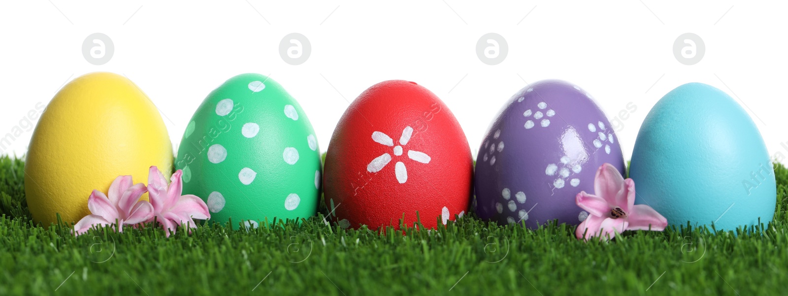 Photo of Colorful Easter eggs and flowers on green grass against white background