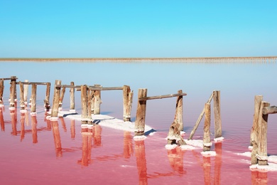 Photo of Beautiful view of pink lake on summer day