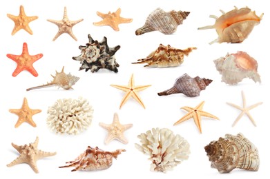 Set with sea stars, shells and corals isolated on white