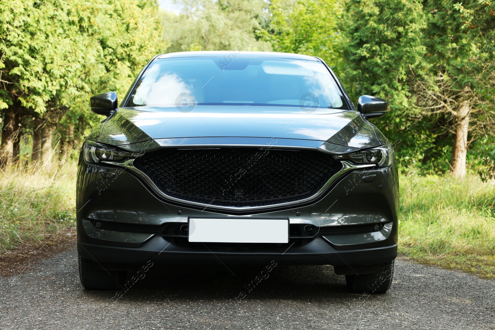 Photo of New black modern car on road near trees