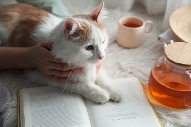 Photo of Woman with cute fluffy cat, tea and book on faux fur, closeup