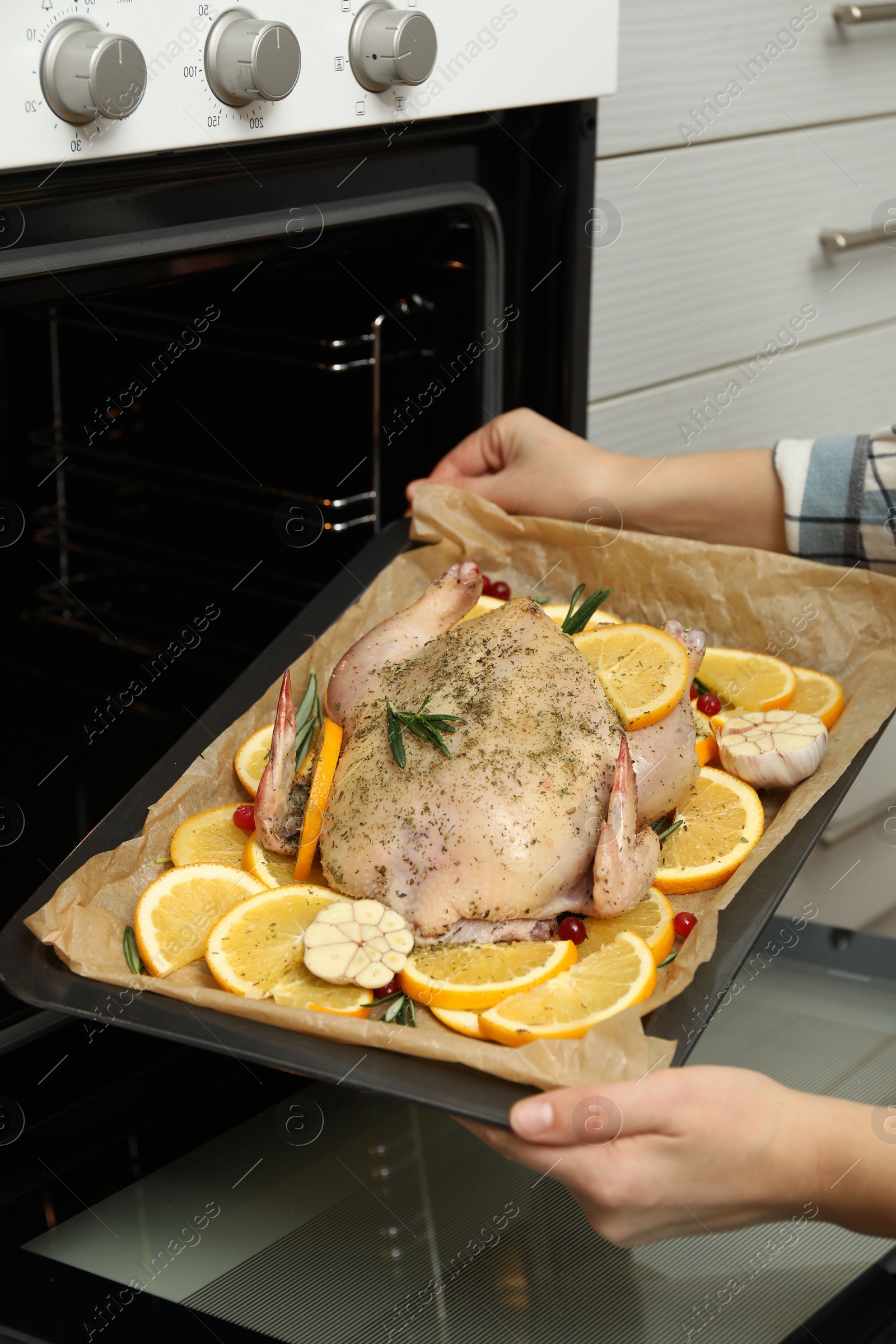 Photo of Woman putting chicken with orange slices into oven, closeup