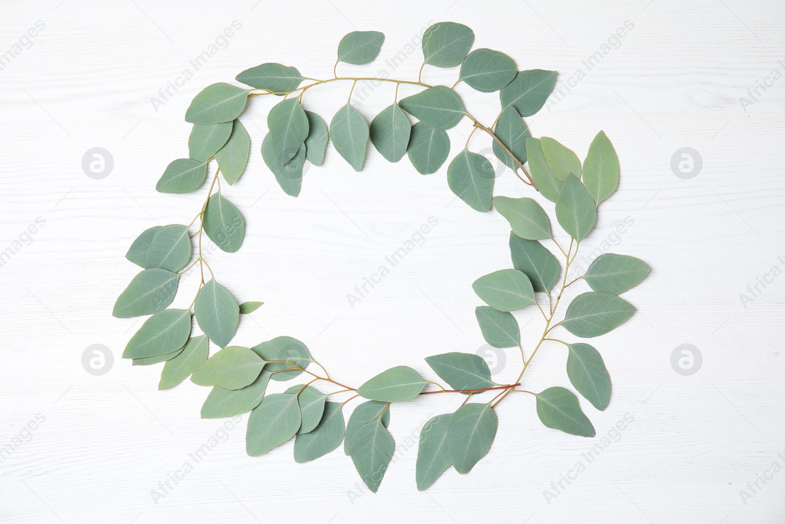 Photo of Flat lay composition with fresh eucalyptus leaves and space for design on white wooden background