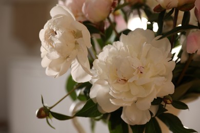 Photo of Beautiful peony bouquet against blurred background, closeup